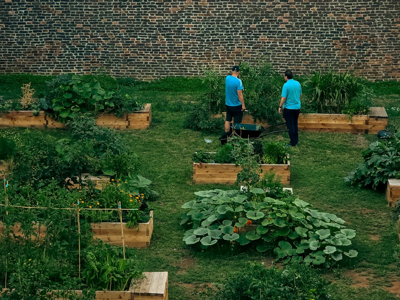 Entreprendre dans l'économie sociale et solidaire